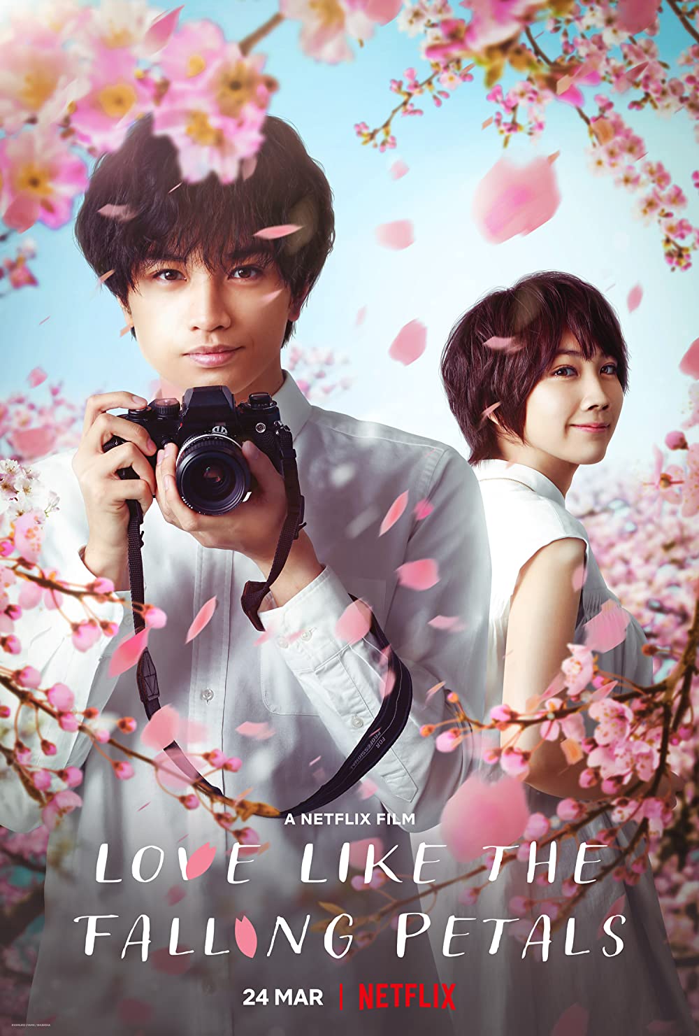 ดูหนังออนไลน์ Love Like the Falling Petals (2022) ใบไม้ผลิที่ไม่มีเธอเป็นซากุระ
